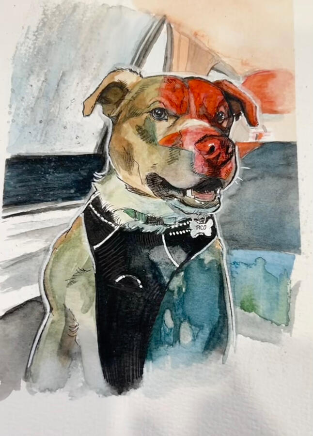 “Pico” Watercolour and ink on multi-media paper